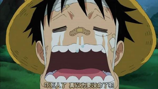 《海贼王》福利!十张图证明路飞真的是天然呆