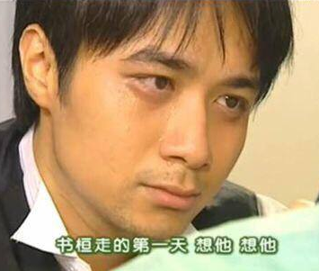 叒火了(当年的赵薇真是好看啊~),不禁想起了依萍的日记:书桓走的第