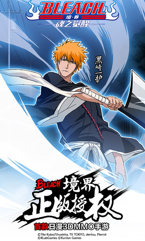 bleach境·界-魂之觉醒